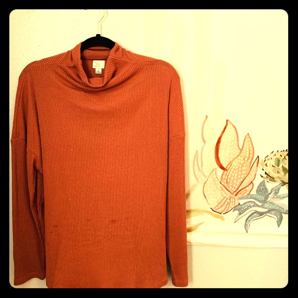 Rust color, A New Day/Target brand shirt, Size L